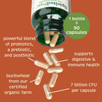 Spirited Paw Probiótico + Salud Intestinal - Apoyo Digestivo e Inmunológico para Perros y Gatos - Mezcla de Prebiótico, Probiótico y Postbiótico con Trigo Sarraceno Orgánico y Fibra de Raíz de Achicoria - 90 Cápsulas