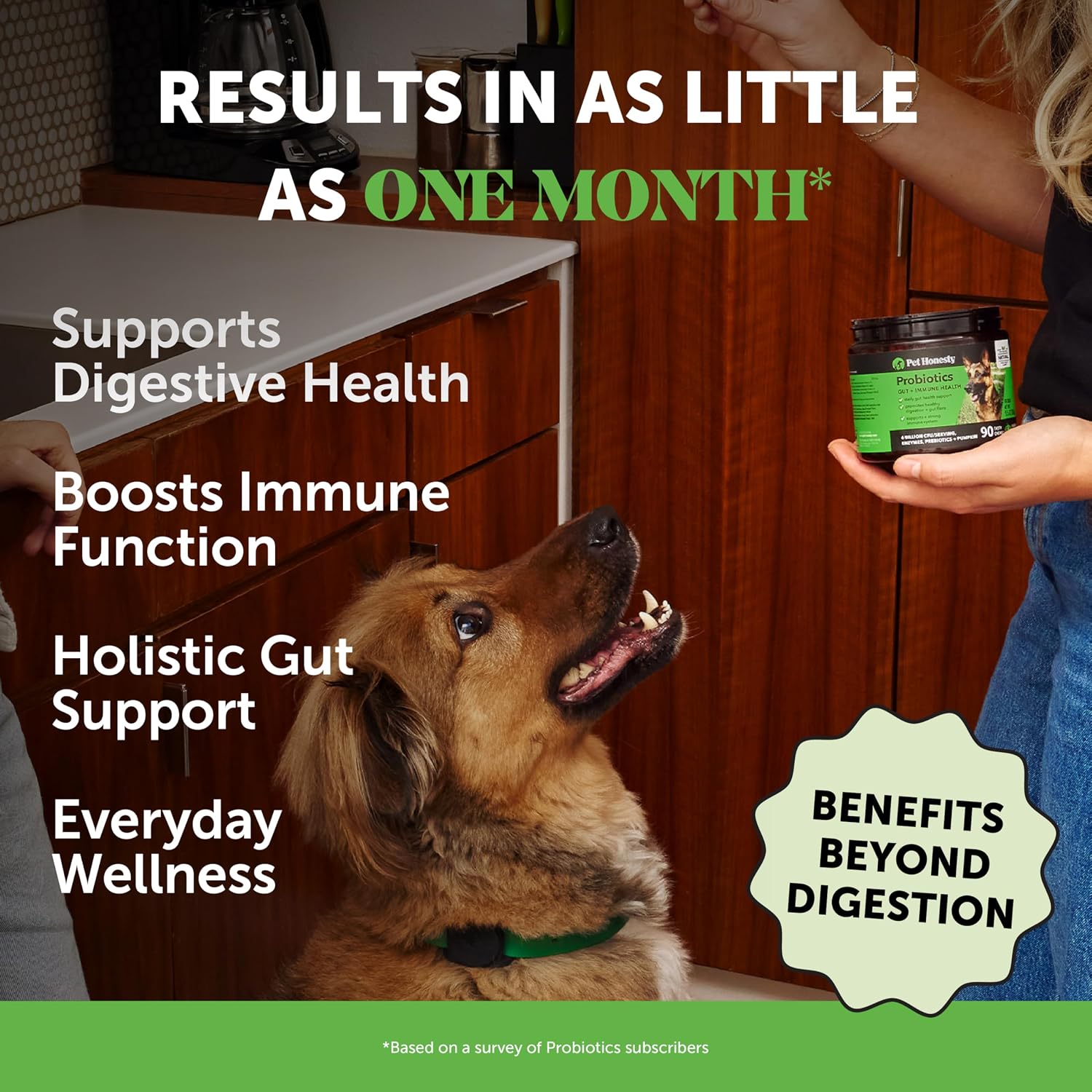 Pet Honesty Probióticos para Perros con Prebióticos y Enzimas - 6B UFC - 90 Masticables (Calabaza)