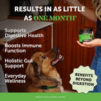 Pet Honesty Probióticos para Perros con Prebióticos y Enzimas, 6B UFC, Calabaza, 180 Masticables