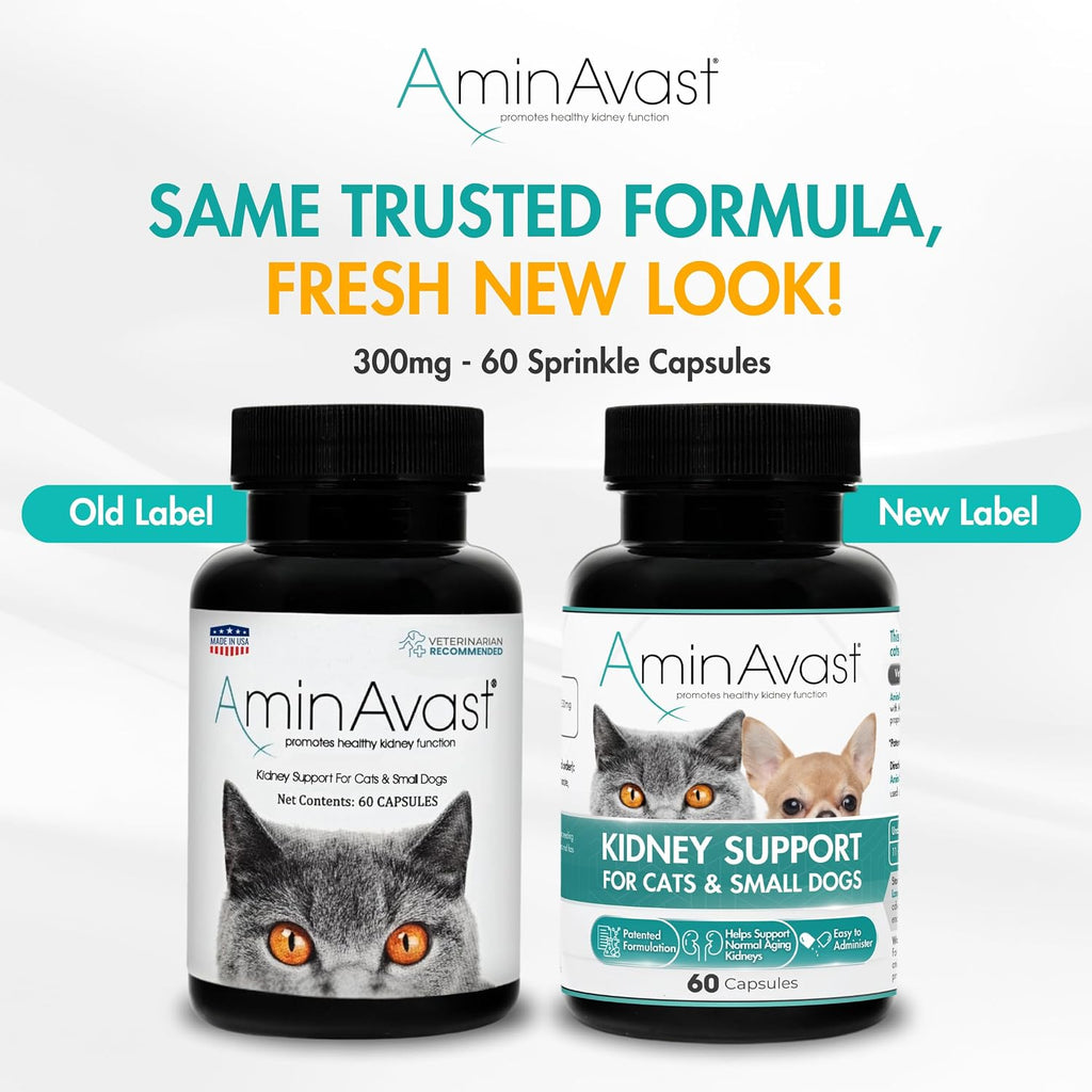 AminAvast Kidney Support Supplement for Cats and Small Dogs, 300mg – 60 Cápsulas (2-Pack)