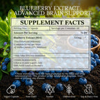 Extracto de Arándano Norteamericano 500mg - 60 Cápsulas Veganas