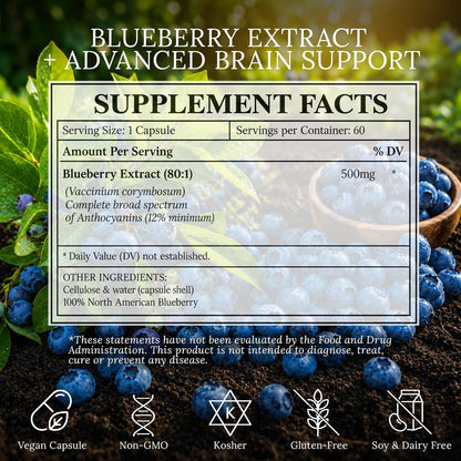 Extracto de Arándano Norteamericano 500mg - 60 Cápsulas Veganas – Image 4