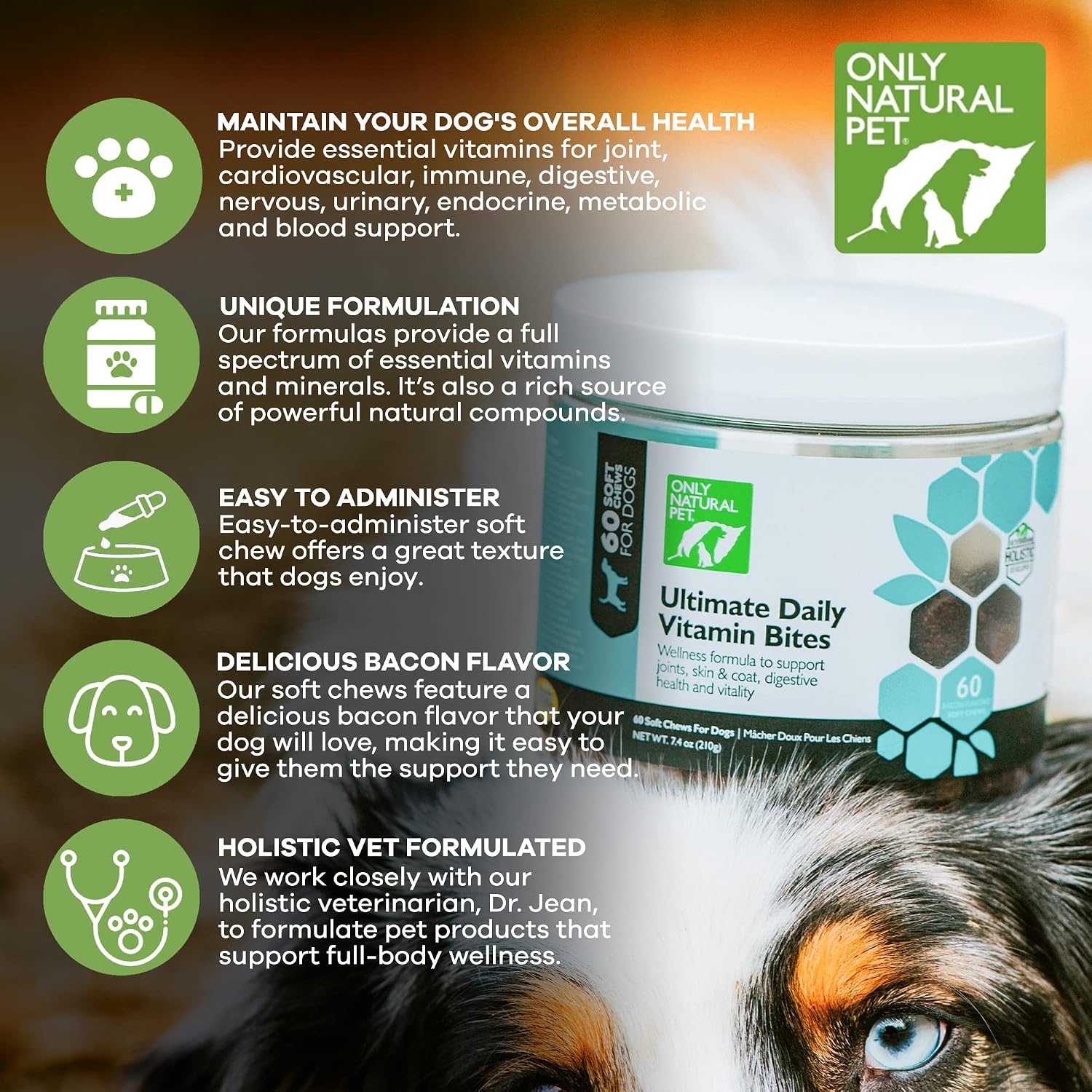 Only Natural Pet Ultimate Daily Vitamins - Complete Multivitamin Supplement for Dogs Balanced Health & Vitality - Senior Small & Large Canine Food Immune Digestive Support -60 Soft Chews (Pack of 1)