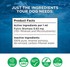 Complete Canine Electrolytes | Electrolitos completos para perros | 355 ml