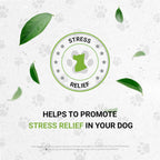 Wolf's Anxiety | Suplemento herbal natural para perros | Apoyo para el estrés y la ansiedad | Extracto sin alcohol de manzanilla, melisa, lavanda, tilo e hinojo | 60 ml