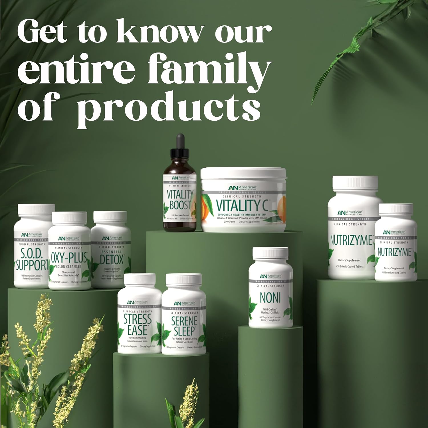 Stress Ease – L-Theanine & Adaptogen Complex for Stress Balance