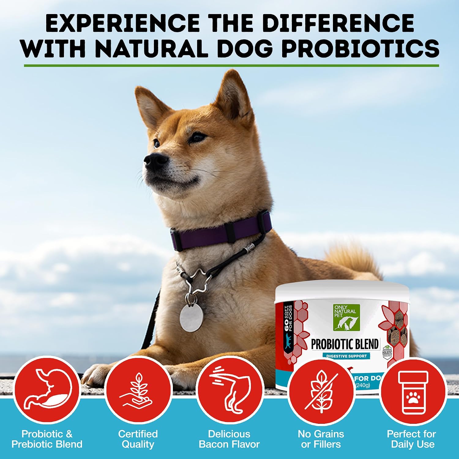 Only Natural Pet Probiótico para Perros y Gatos - Complemento Digestivo con Enzimas, 60 Masticables Blandos