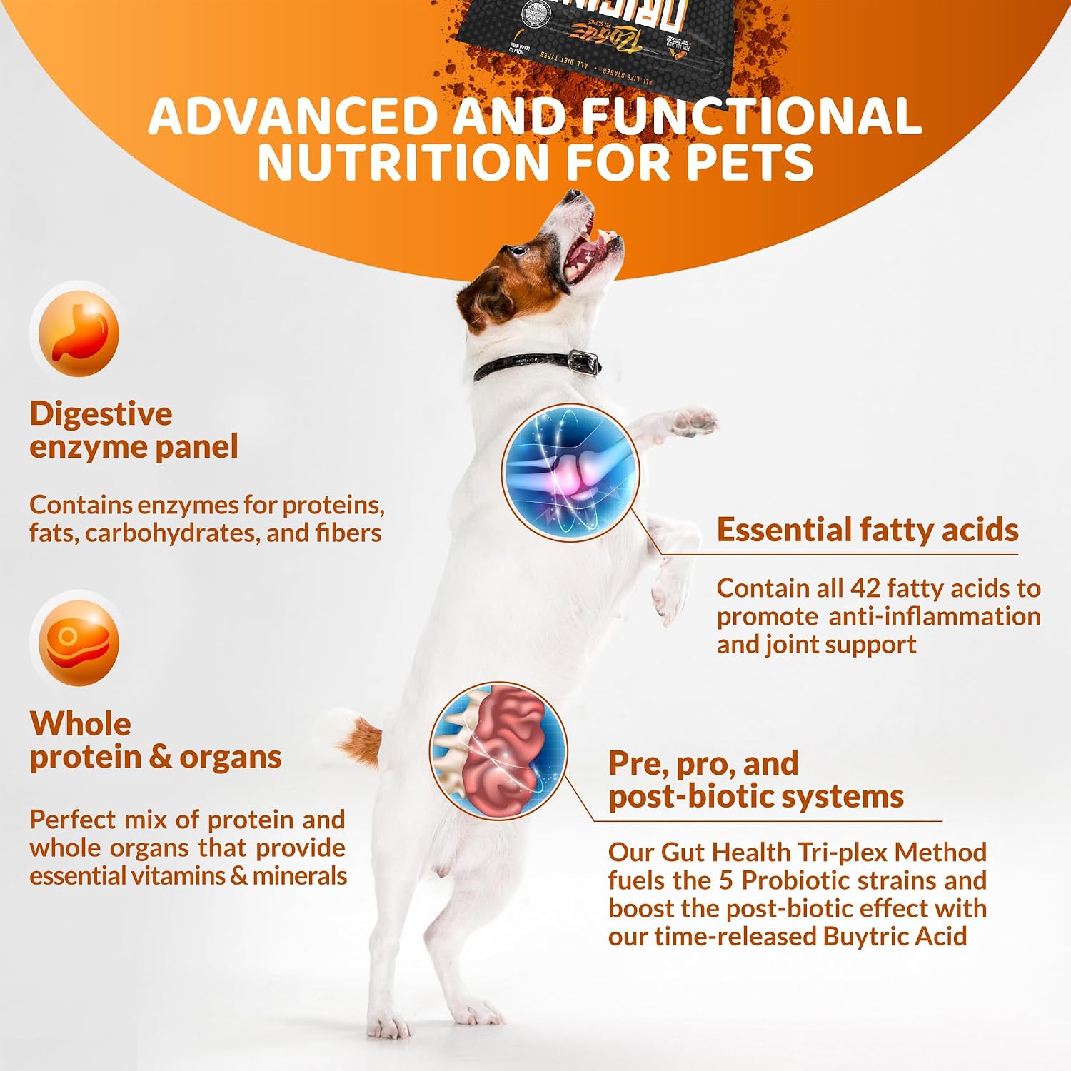 Origins 5-in-1 Suplemento para Perros - Polvo Alimenticio con Omega 3 - Apoya la Digestión, Piel y Articulaciones (2 libras)