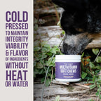 Dog Multivitamin Soft Chews - 120ct - Natural Rapport