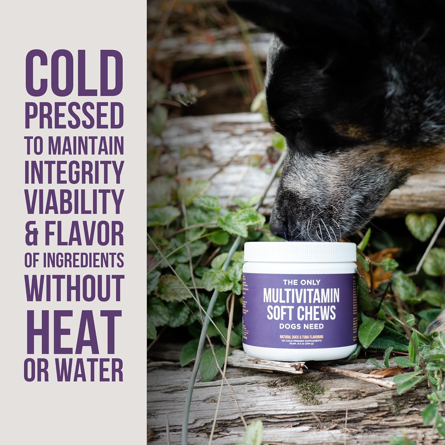 Dog Multivitamin Soft Chews - 120ct - Natural Rapport