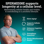 Suplemento de Spermidina 1440mg (99% Puro) - 120 Cápsulas - 4 Meses de Suministro