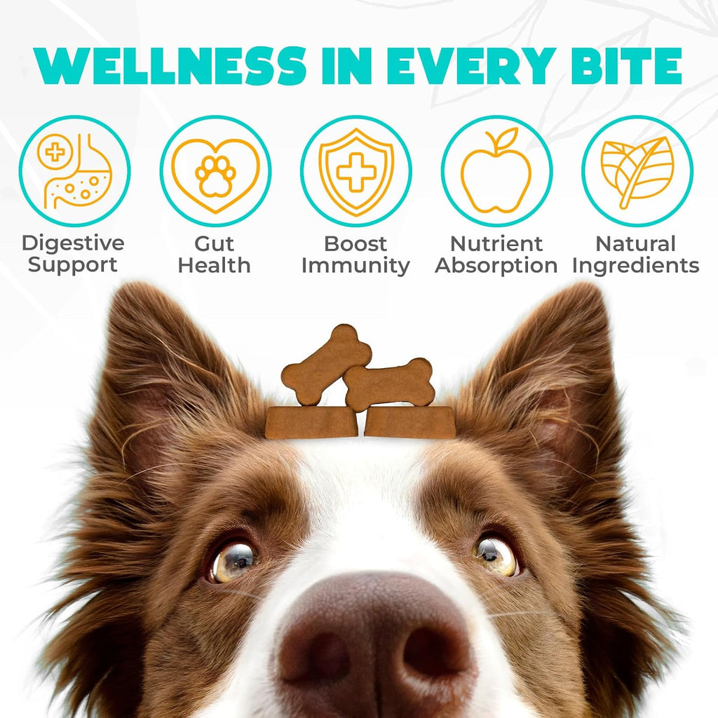 Probióticos para perros en masticables - 60 unidades - Apoyo digestivo y salud intestinal - Sabor a ternera