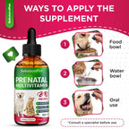 SalutemPet Vitaminas Prenatales para Perras y Gatas – Suplemento Multivitamínico Líquido – 60 ml