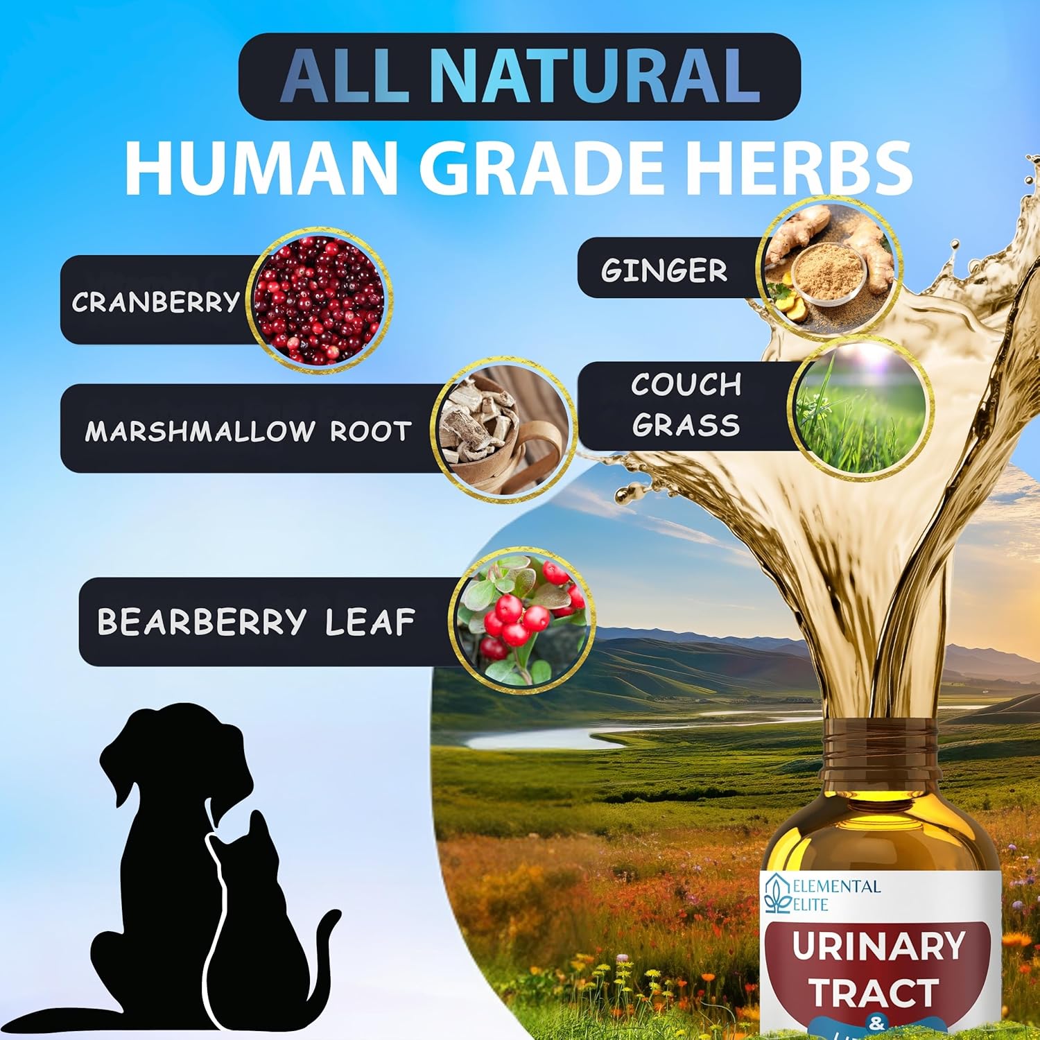 EDUZEBRA Gotas para la Salud Urinaria de Perros y Gatos – Suplemento Herbal Natural con Arándano Rojo