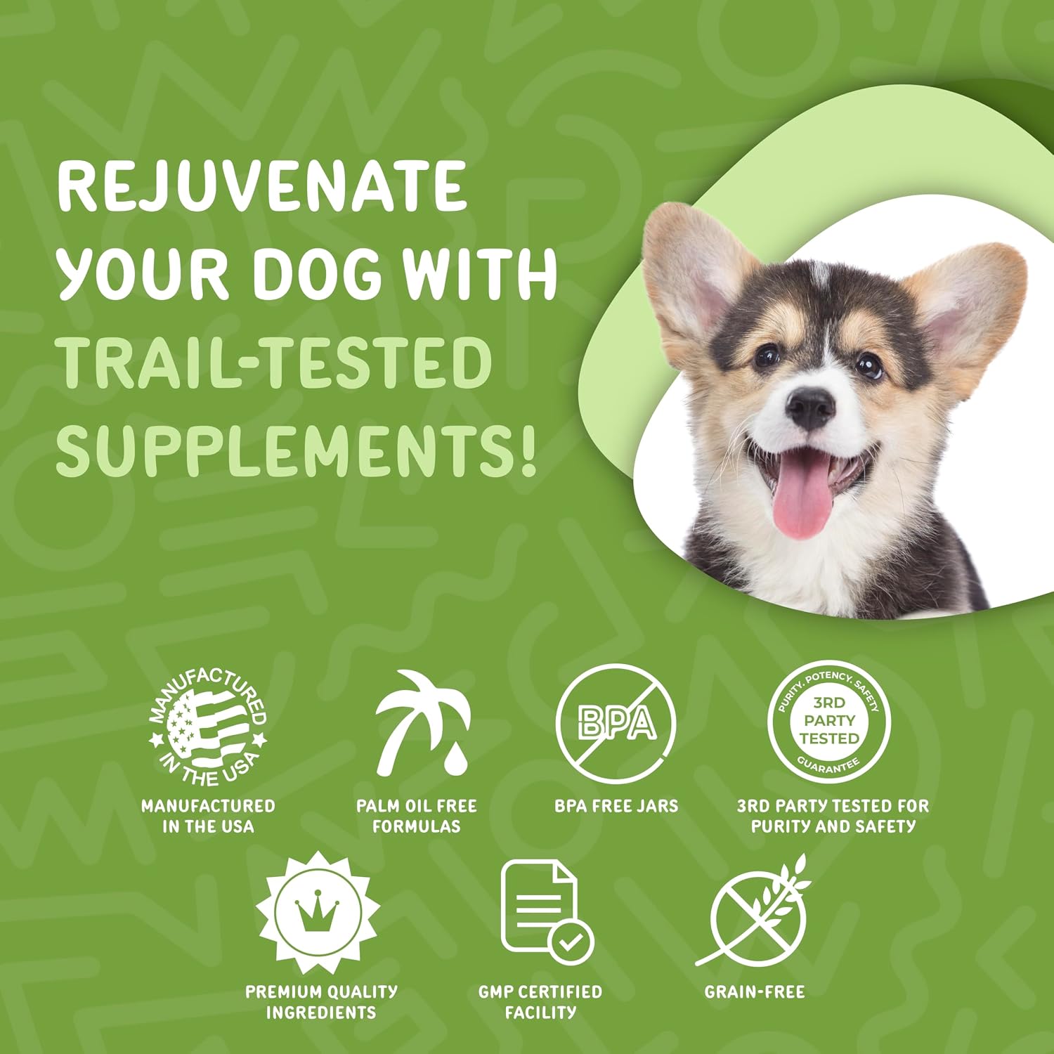 Waggedy Daily Essentials Puppy – Golosinas multivitamínicas para cachorros (60 unidades)