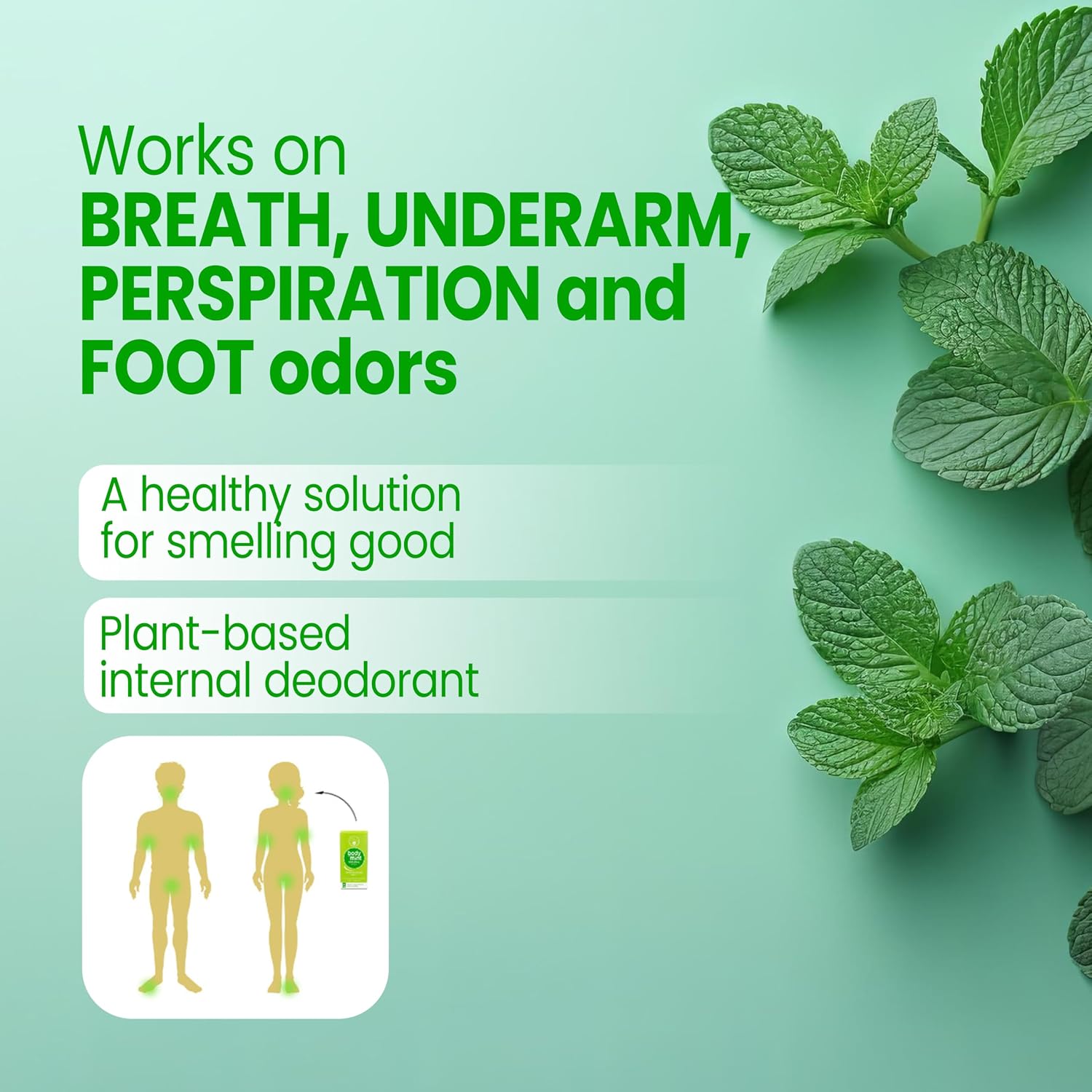 Body Mint Original - Desodorante Interno de Clorofila - 50 Comprimidos