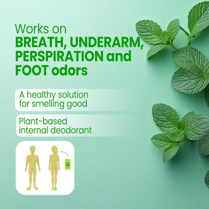Body Mint Original - Desodorante Interno de – Sin manchas ni residuos: Al ser un comprimido oral, no deja marcas – Image 3