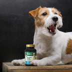 PetNC Natural Care Levadura de Cerveza para Perros – Piel y Pelaje, 250 Masticables