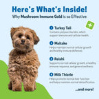 Pet Wellbeing Mushroom Immune Gold para Perros - Apoyo Inmunológico Complementario con Hongos Funcionales Reishi, Maitake y Cola de Pavo - Certificado NASC y Formulado por Veterinarios - 236 ml Fórmula Líquida
