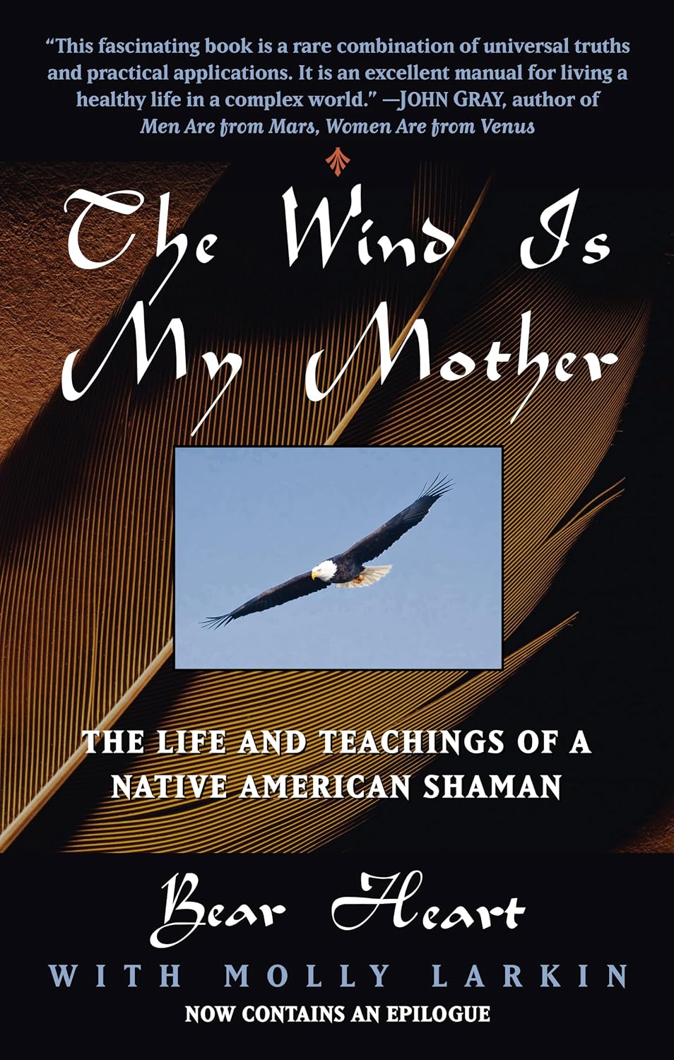 El viento es mi madre: La vida y las enseñanzas de un chamán nativo americano