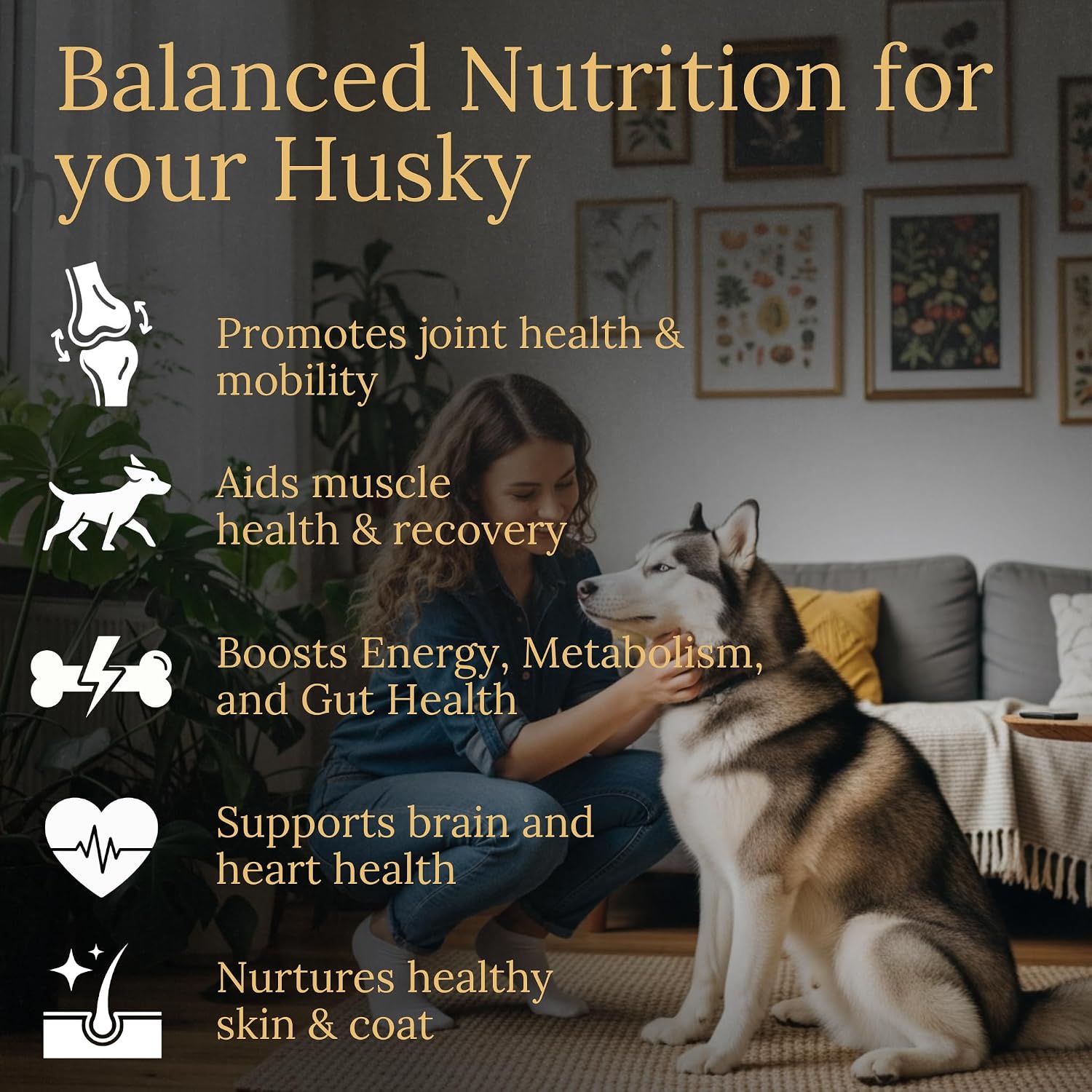 Prestige Breed Multivitamínicos, Nutrición Equilibrada para tu Husky, 90 unidades, Hecho en EE.UU. con Bacon Real