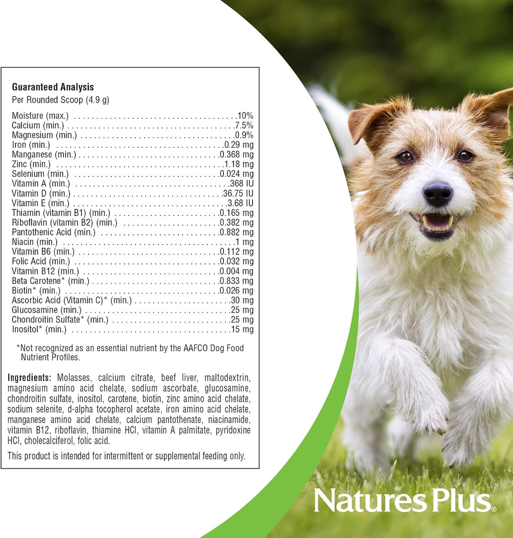 NaturesPlus FurBaby Multivitamínico para Perros - 295 g (60 dosis)