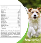 NaturesPlus FurBaby Multivitamínico para Perros - 295 g (60 dosis)