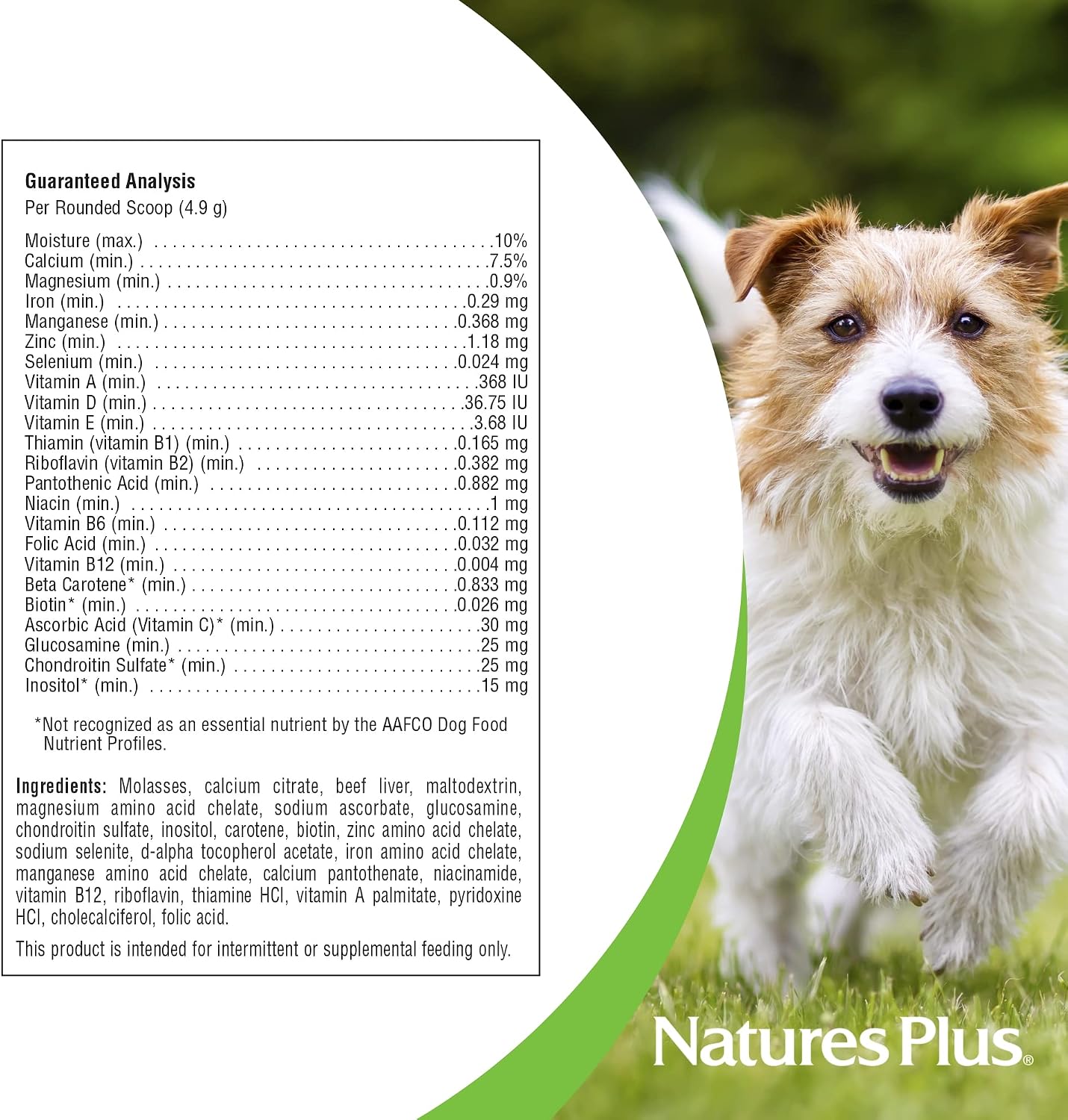 NaturesPlus FurBaby Multivitamínico para Perros - 295 g (60 dosis)