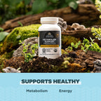 Ancient Nutrition Probióticos Certificado Orgánico Regenerativo para Apoyo al Metabolismo, Digestión y Sistema Inmunológico, 50 Mil Millones de UFC por Dosis, 60 Cápsulas