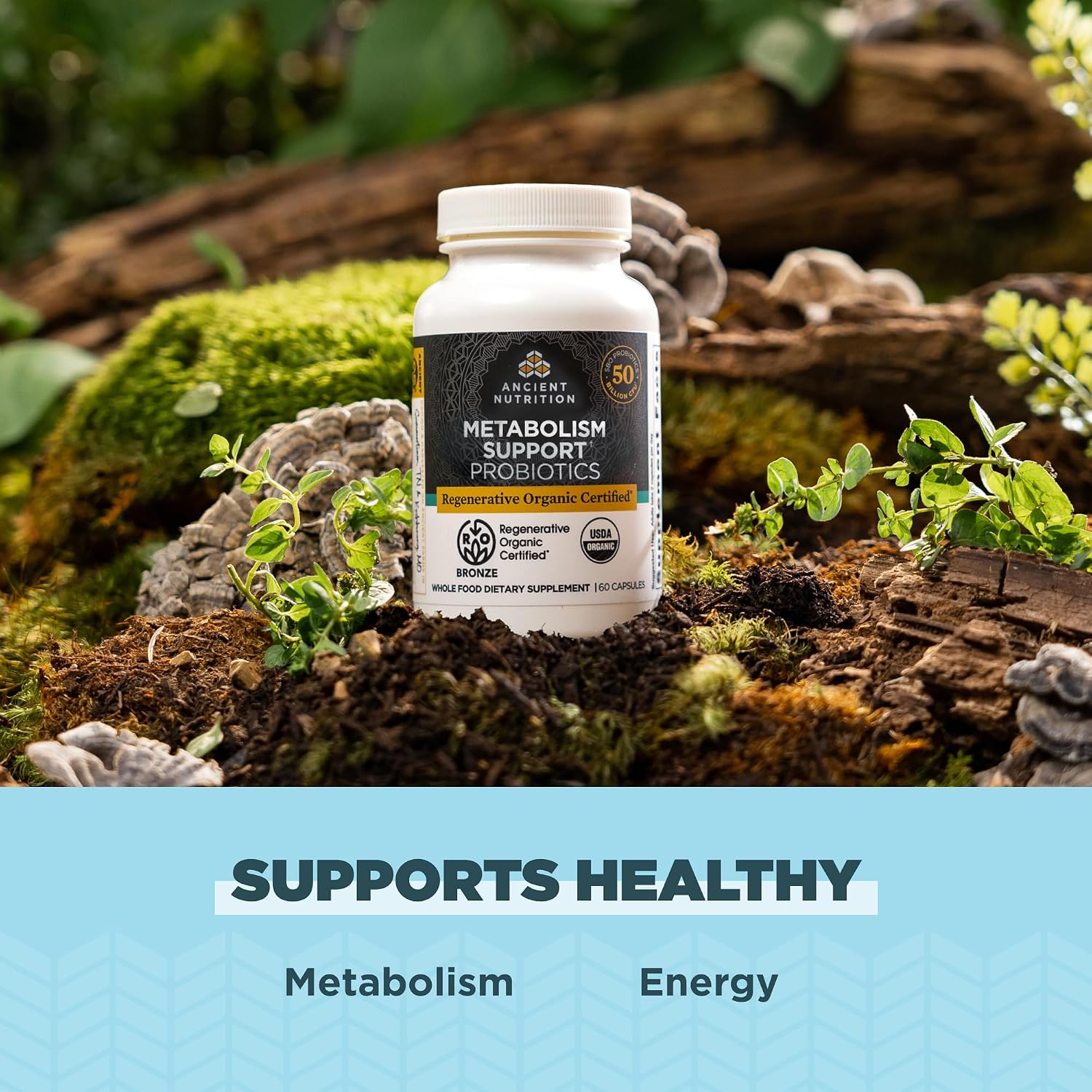 Ancient Nutrition Probióticos Certificado Orgánico Regenerativo para Apoyo al Metabolismo, Digestión y Sistema Inmunológico, 50 Mil Millones de UFC por Dosis, 60 Cápsulas