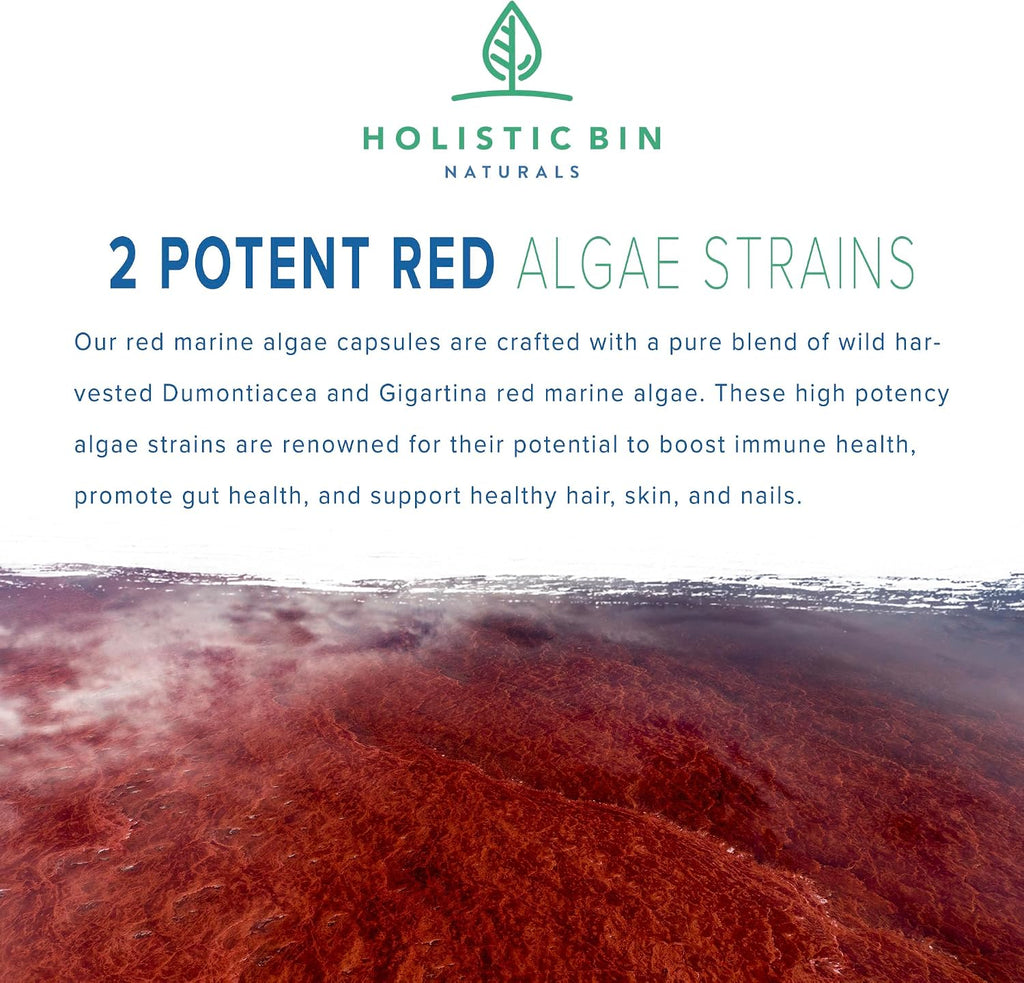 Red Marine Algae Capsules Gigartina and Dumontiacea Red Algae Supplements | Gluten Free, Vegan, Wild Harvested | Rich in Vegan Omega 3 (40 Capsules)