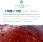 Red Marine Algae Capsules Gigartina and Dumontiacea Red Algae Supplements | Gluten Free, Vegan, Wild Harvested | Rich in Vegan Omega 3 (40 Capsules)