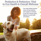 Rx Vitamins Rx Biotic - Probiótico en Polvo para Perros y Gatos, 2.12 oz