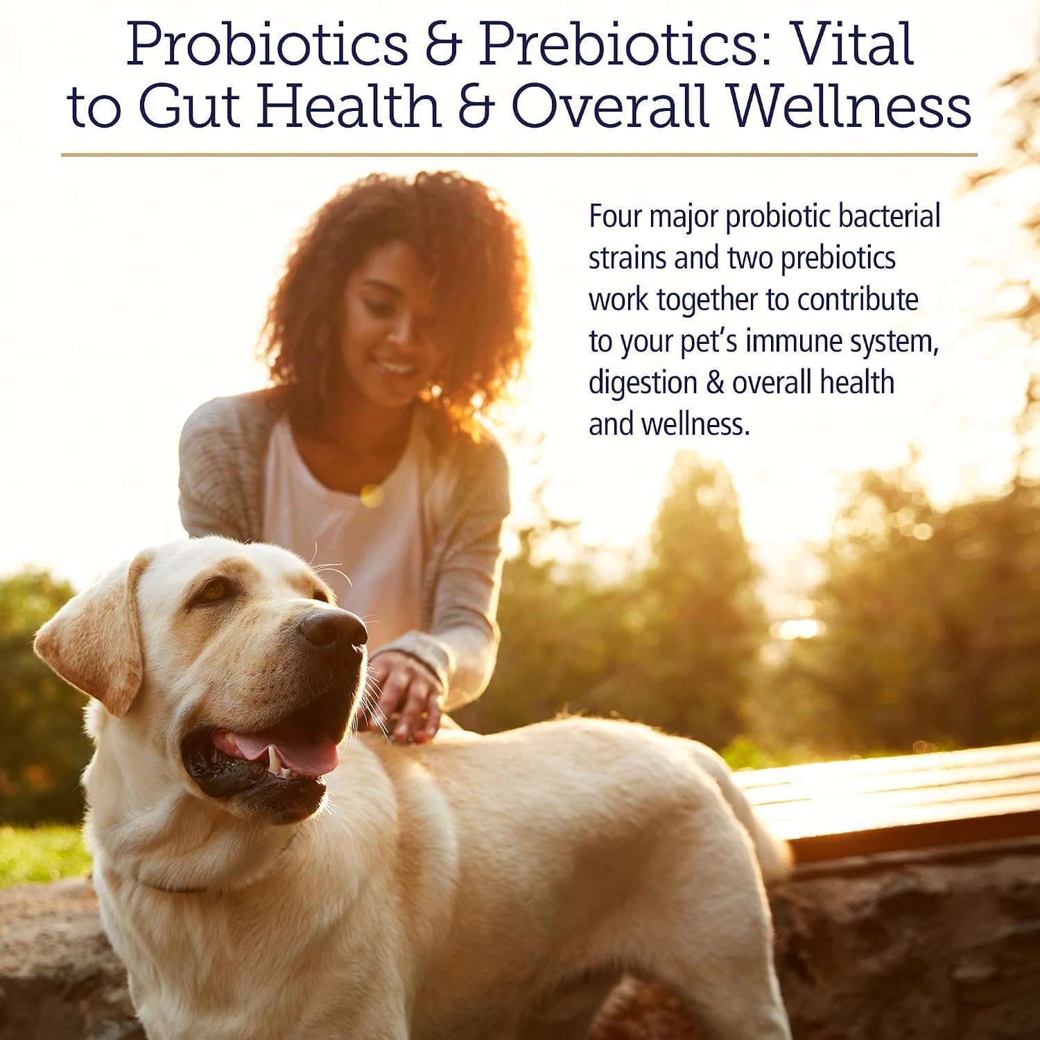 Rx Vitamins Rx Biotic - Probiótico en Polvo para Perros y Gatos, 2.12 oz