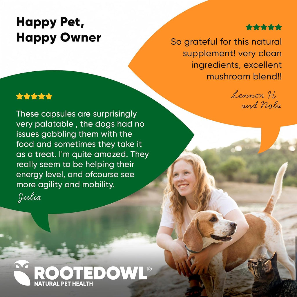 Rooted Owl® Suplemento de Hongos para Perros y Gatos - Apoyo Inmunológico - 60 Cápsulas