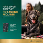 VetriScience Suplemento Hepático para Perros con Cardo Mariano, Alcachofa y Cúrcuma – 60 Masticables Sabor Pollo