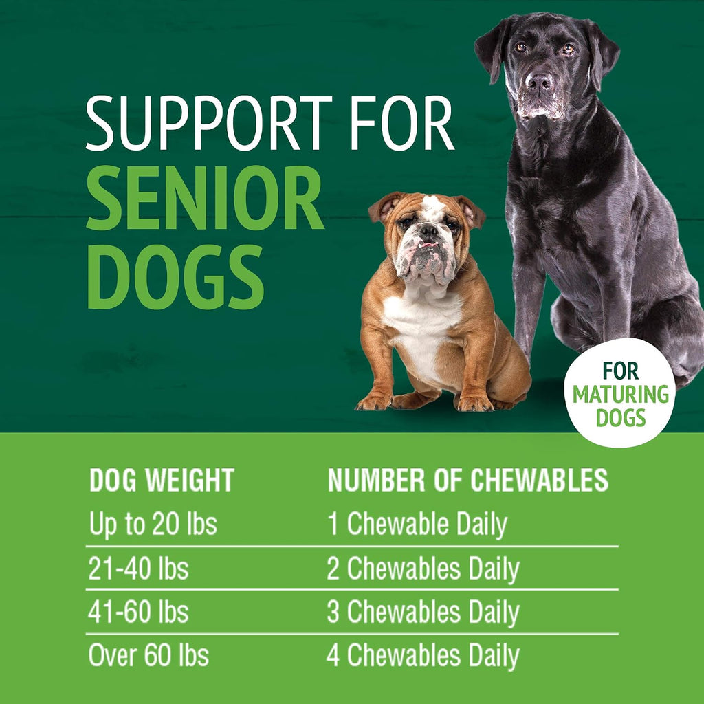 Petnc Senior Multi Chewables (60 unidades), Multivitamínico diario para perros senior, con zinc, magnesio, hierro y más, para la salud general, perros maduros, sabor a hígado