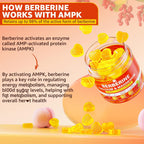 Gominolas de Berberina Sin Azúcar LILICARE - Absorción Extra con Berberina Liposomal