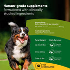 Rooted Owl® Suplemento Hepático para Perros - Cardo Mariano - 60 Cápsulas Veganas