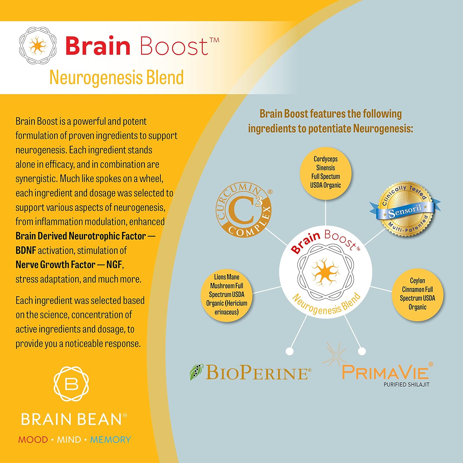 Brain-Boost