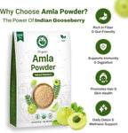 Ayushka Organic Amla Powder (Amalaki) 500g - USDA Organic Indian Gooseberry Powder