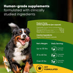 Rooted Owl® Cúrcuma para Perros y Gatos - Suplemento con Curcumina, Piperina y Vitamina C - 60 Cápsulas