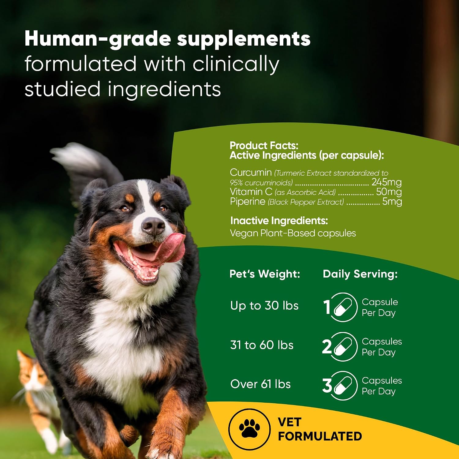 Rooted Owl® Cúrcuma para Perros y Gatos - Suplemento con Curcumina, Piperina y Vitamina C - 60 Cápsulas