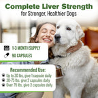 Silver Lining Herbs - Liver Support for Dogs - All Natural Herbal Supplement with Milk Thistle, Turmeric, Chamomile and More - 90 Capsules