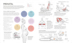 Science of Yoga: Understand the Anatomy and Physiology to Perfect Your Practice (The Science of Fitness)