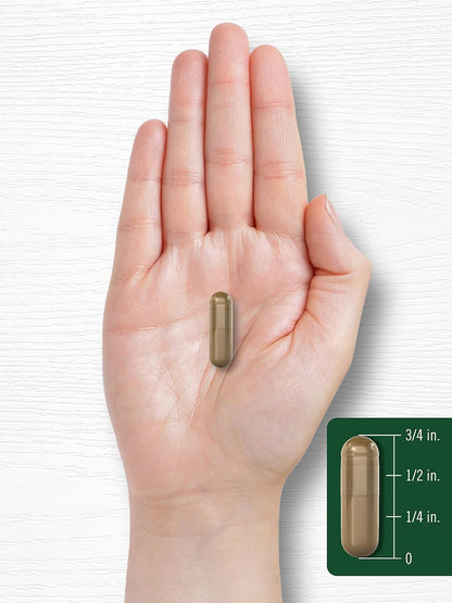 Carlyle Extracto de Hoja de Morera | 100 Cápsulas | Suplemento Herbal No-GMO y Sin Gluten – Image 7
