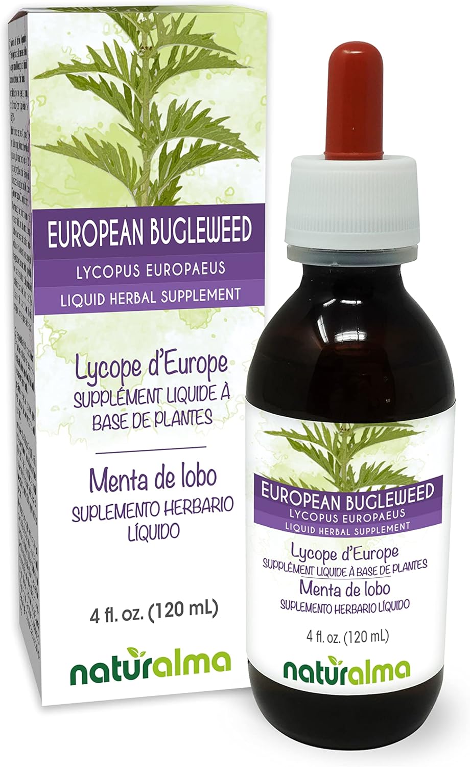 Naturalma Bugleweed Europeo (Lycopus europaeus) Extracto Líquido Sin Alcohol - 4 oz (118 ml) - Gotas - Vegano