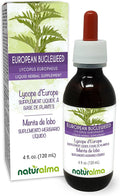 Naturalma Bugleweed Europeo (Lycopus europaeus) Extracto Líquido Sin Alcohol - 4 oz (118 ml) - Gotas - Vegano