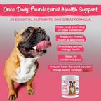 Vital Planet - Multivitamínico en Polvo Vital Dog para Perros, Sabor Carne de Res, 75 g (30 raciones)