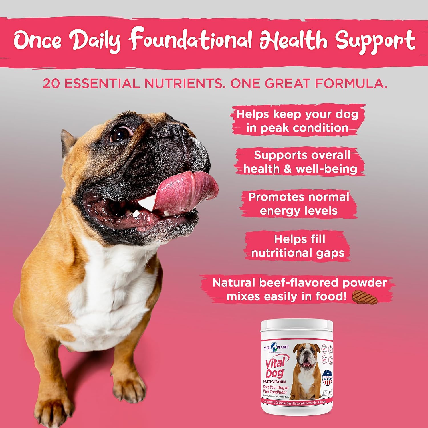 Vital Planet - Multivitamínico en Polvo Vital Dog para Perros, Sabor Carne de Res, 75 g (30 raciones)